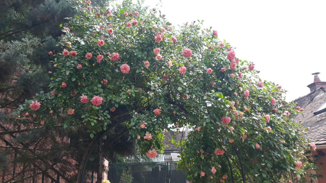La Maison Rose: Lieu Atypique Hotel Nemours Eksteriør billede